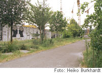 Parliament of Trees - Berlin Wall